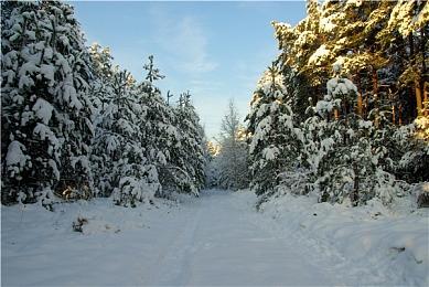 万代机甲游戏《Synduality：Echo of Ada》Steam页面上线