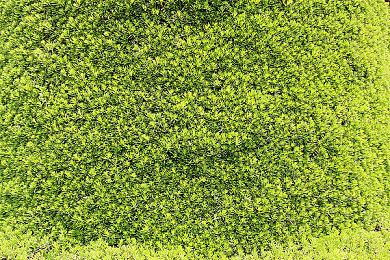 《龙腾世纪：影障守护者》《吸血鬼：避世血族2》不参加科隆展