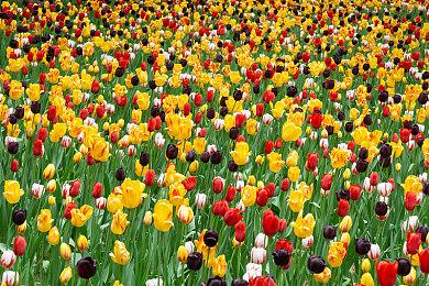 大锤“加强”要没了 卡普空紧急热修多个问题