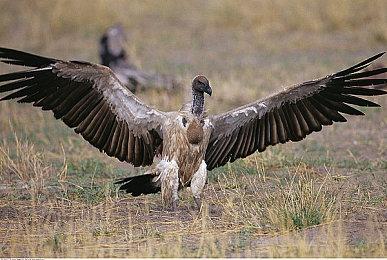 平台潜行游戏《巴别图书馆》将于4月7日发售